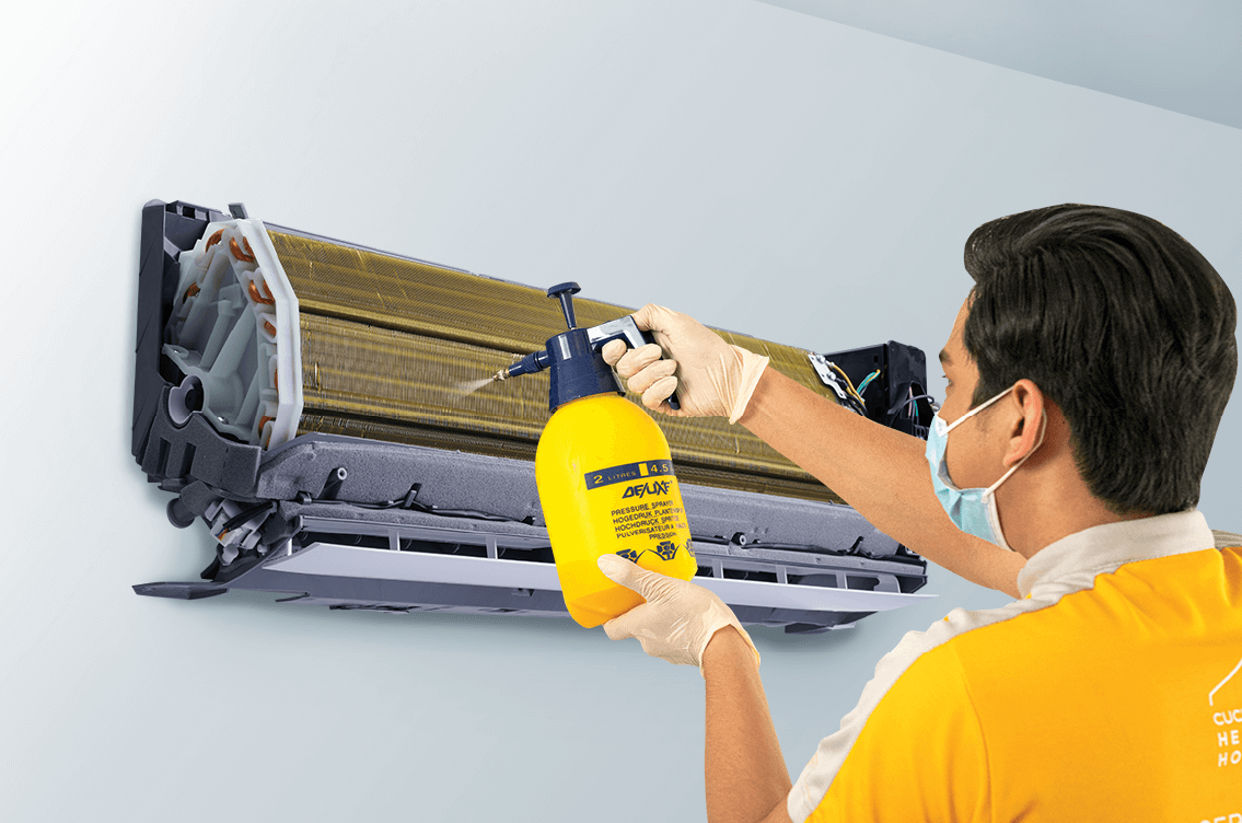 cccAsset-1@4x-e1648046398876