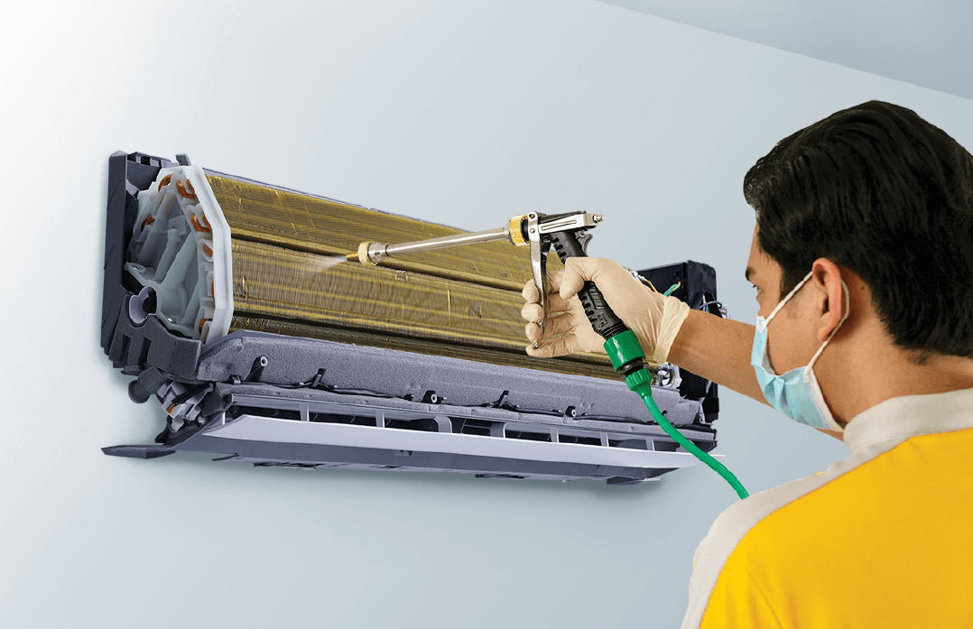 cccAsset-4@4x-1-e1648046425744